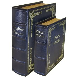 PS Products - Ps Diversion Books - Set Of 2