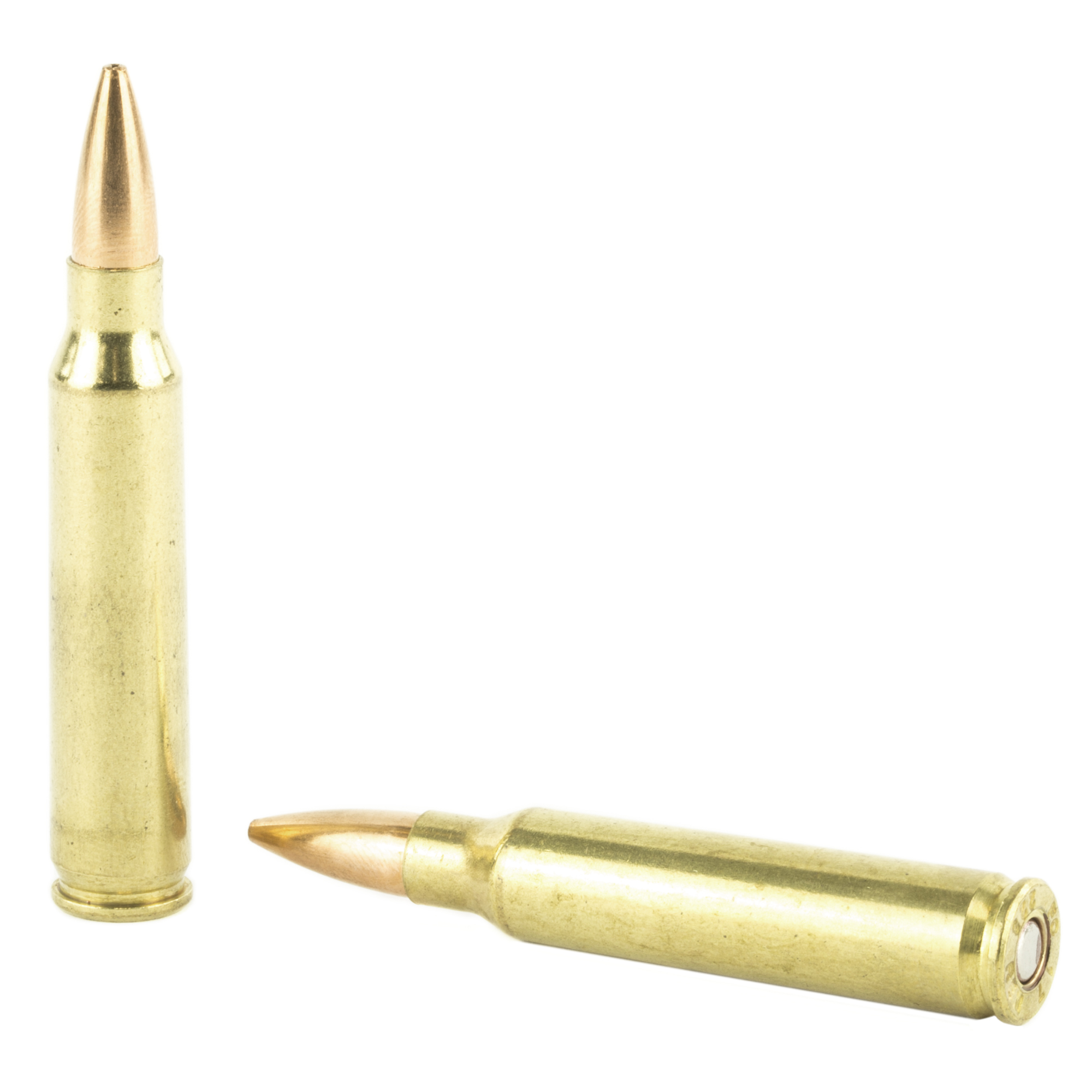 RPLFEGM223M3_2.jpg