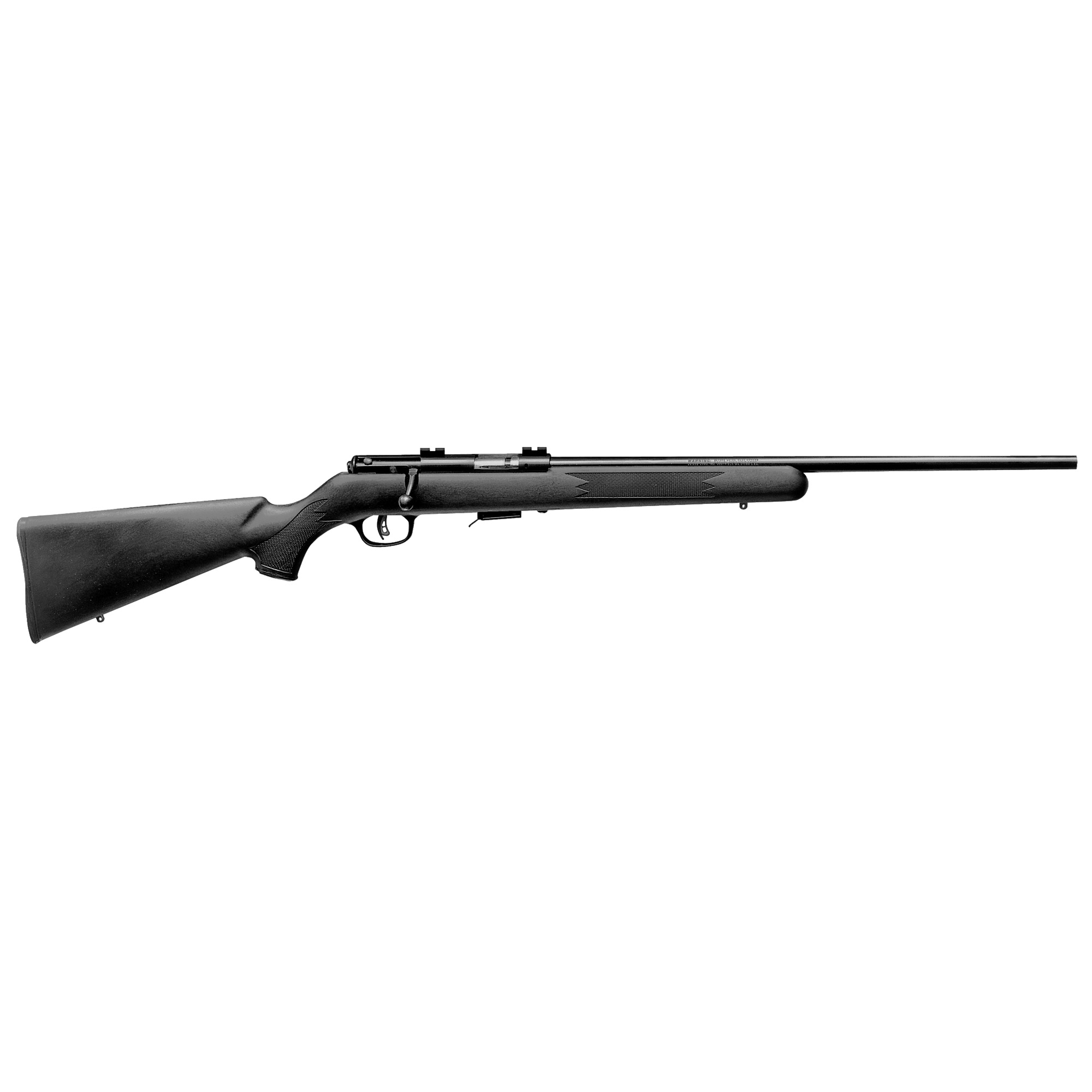 RPLSV96700-2.jpg